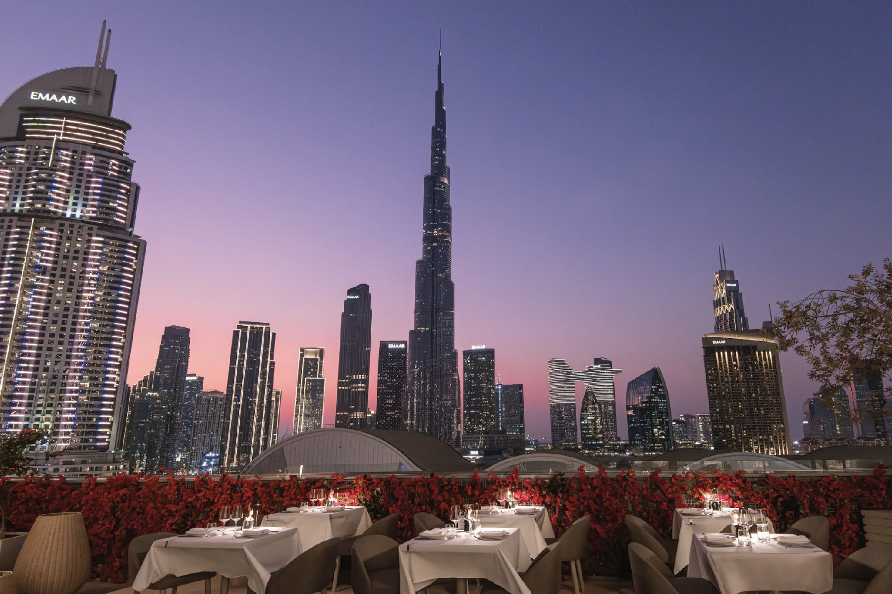 dine-image